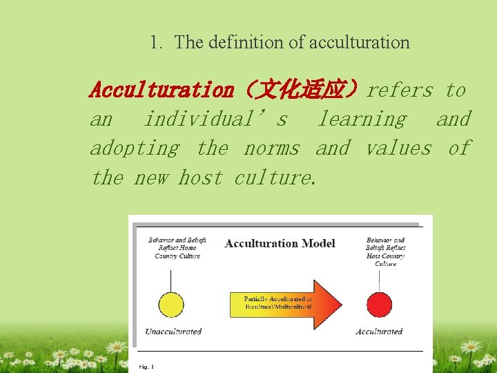 1. The definition of acculturation Acculturation（文化适应）refers to an individual’s learning and adopting the norms