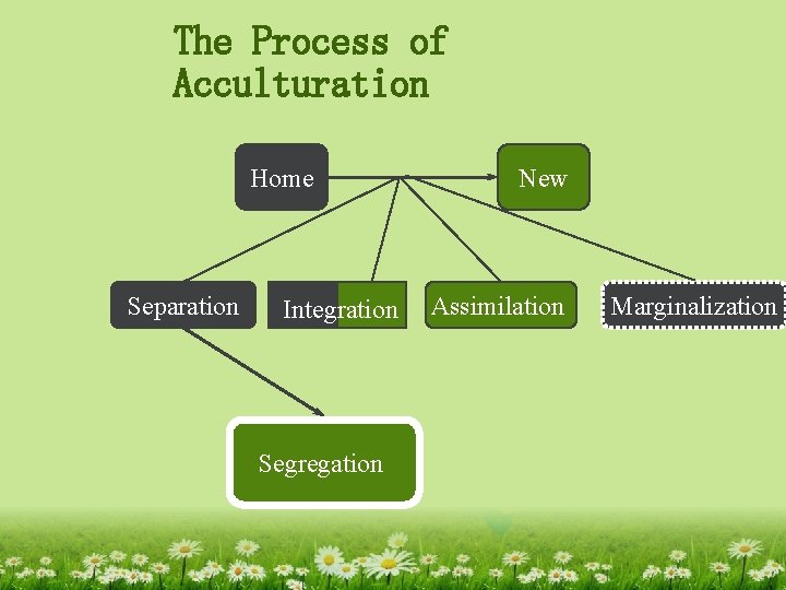The Process of Acculturation Home Separation Integration Segregation New Assimilation Marginalization 