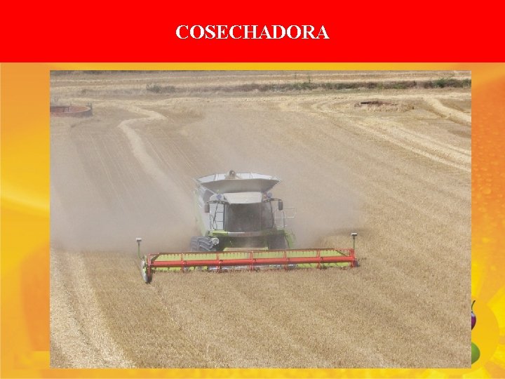 COSECHADORA 