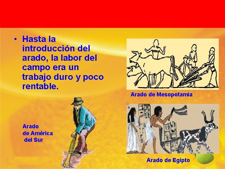  • Hasta la introducción del arado, la labor del campo era un trabajo