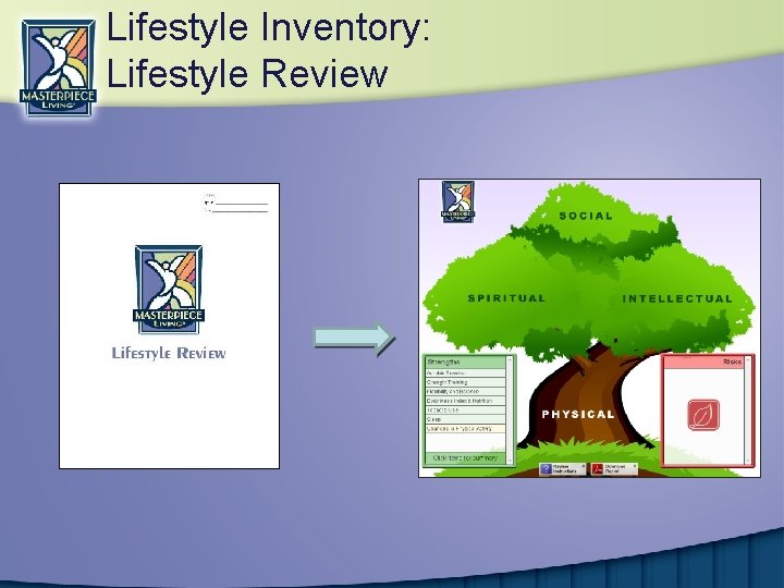 Lifestyle Inventory: Lifestyle Review 