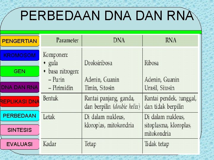 Bab Iii Substansi Genetik Pengertian Kromosom Gen Dna