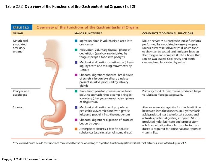 Table 23. 2 Overview of the Functions of the Gastrointestinal Organs (1 of 2)