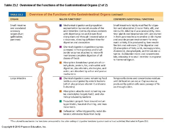 Table 23. 2 Overview of the Functions of the Gastrointestinal Organs (2 of 2)