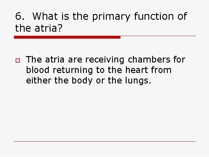 Key Questions for Understanding the Anatomy of the