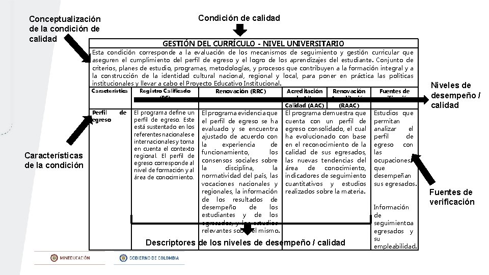 Condición de calidad Conceptualización de la condición de calidad GESTIÓN DEL CURRÍCULO - NIVEL