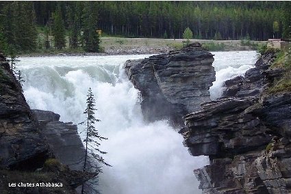 Les chutes Athabasca 