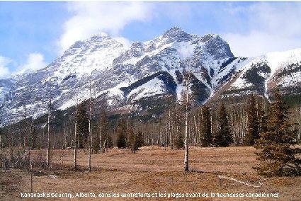 Kananaskis Country, Alberta, dans les contreforts et les plages avant de la Rocheuses canadiennes