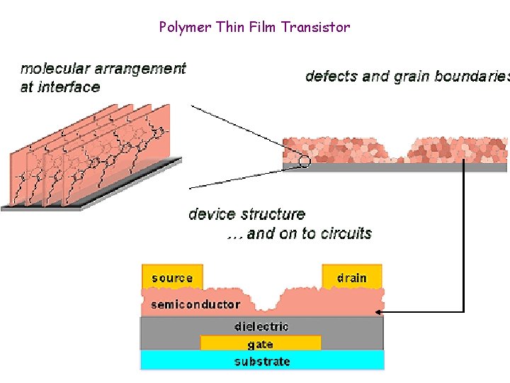 Polymer Thin Film Transistor 