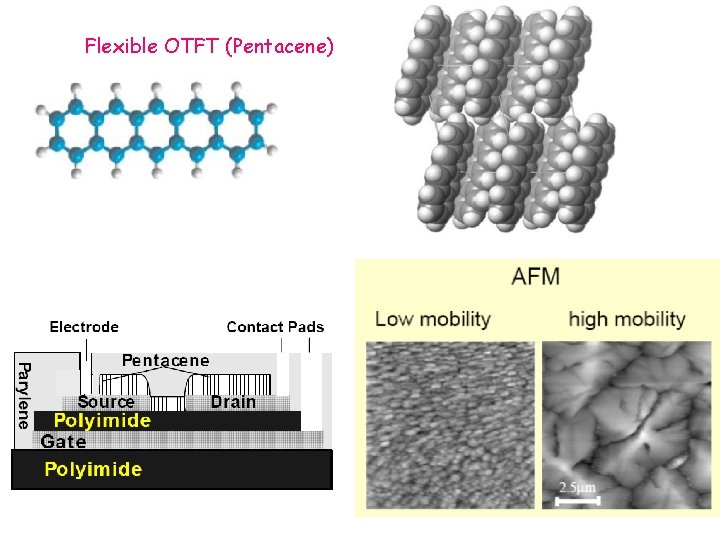 Flexible OTFT (Pentacene) 