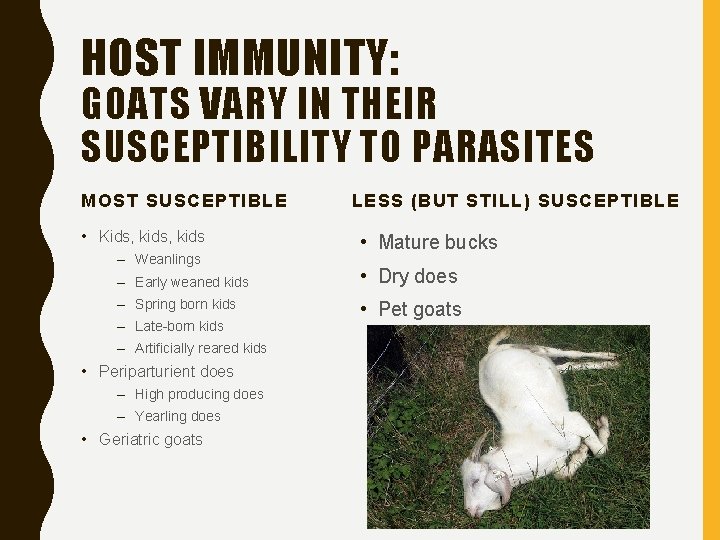 HOST IMMUNITY: GOATS VARY IN THEIR SUSCEPTIBILITY TO PARASITES MOST SUSCEPTIBLE • Kids, kids