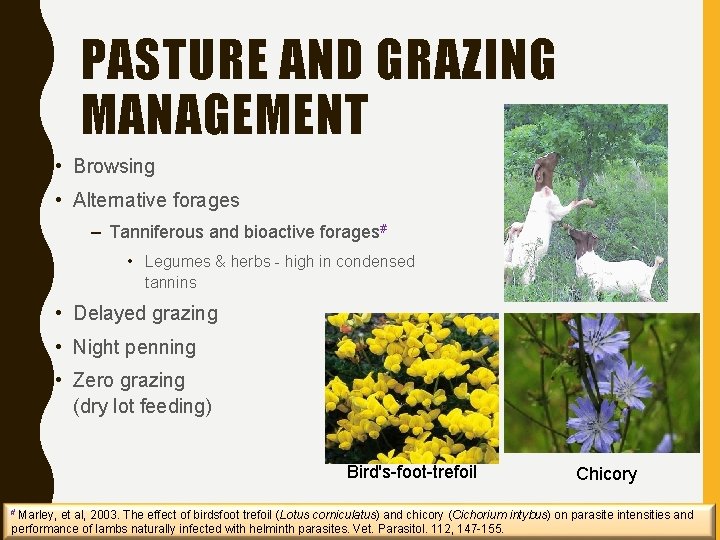 PASTURE AND GRAZING MANAGEMENT • Browsing • Alternative forages – Tanniferous and bioactive forages#