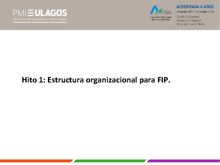 Hito 1: Estructura organizacional para FIP. 