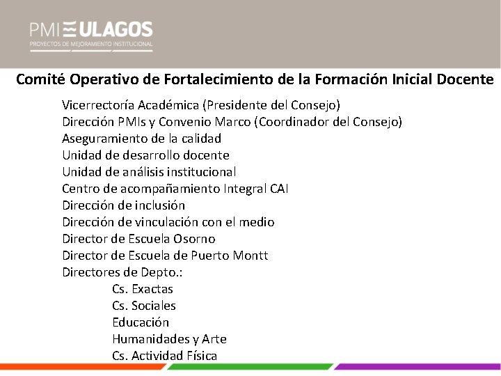 Comité Operativo de Fortalecimiento de la Formación Inicial Docente Vicerrectoría Académica (Presidente del Consejo)