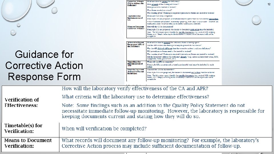 12 Guidance for Corrective Action Response Form 