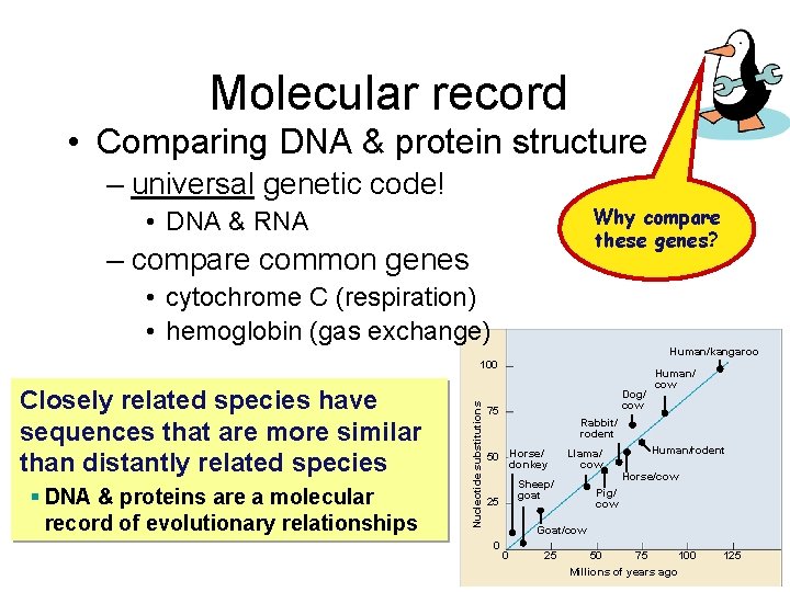 Molecular record • Comparing DNA & protein structure – universal genetic code! Why compare