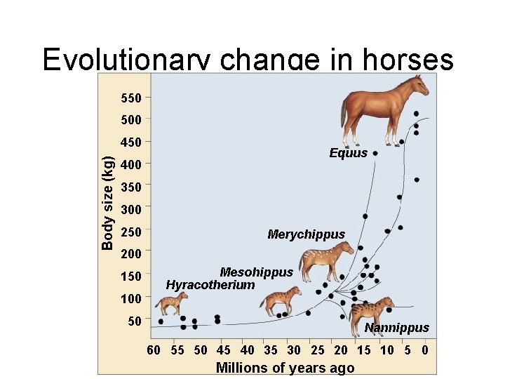 Evolutionary change in horses 550 500 Body size (kg) 450 Equus 400 350 300