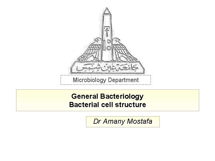 Microbiology Department General Bacteriology Bacterial cell structure Dr Amany Mostafa 