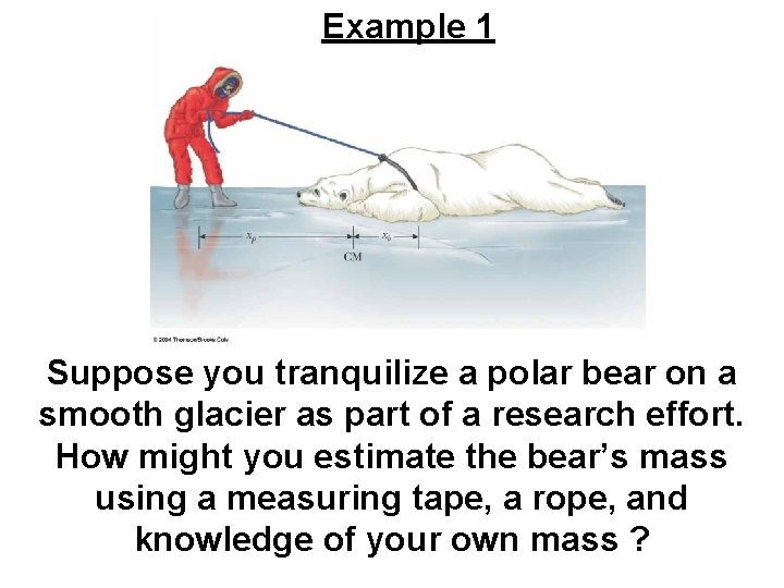 Example 1 Suppose you tranquilize a polar bear on a smooth glacier as part