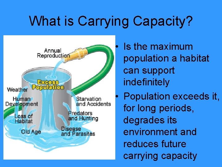 What is Carrying Capacity? • Is the maximum population a habitat can support indefinitely