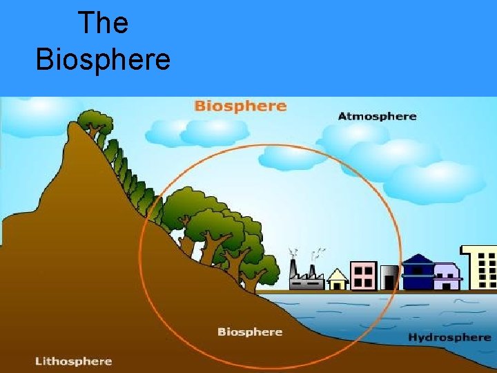 The Biosphere 