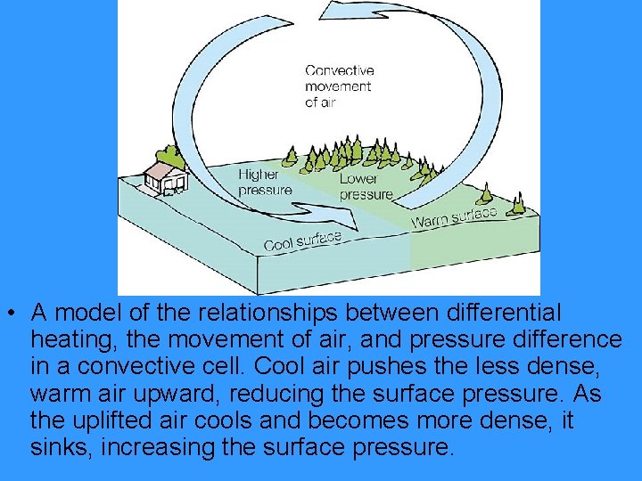  • A model of the relationships between differential heating, the movement of air,