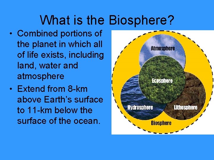 What is the Biosphere? • Combined portions of the planet in which all of