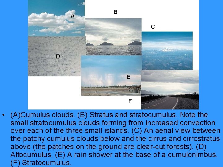 A B C D E F • (A)Cumulus clouds. (B) Stratus and stratocumulus. Note