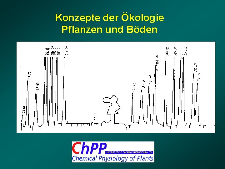 Konzepte der Ökologie Pflanzen und Böden 