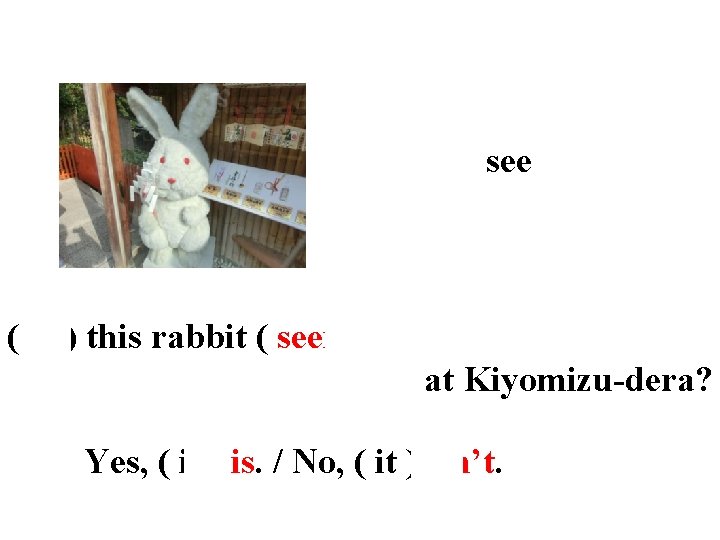 see ( Is ) this rabbit ( seen ) at Kiyomizu-dera? Yes, ( it