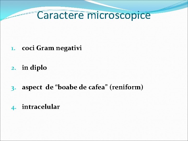 Caractere microscopice 1. coci Gram negativi 2. in diplo 3. aspect de “boabe de