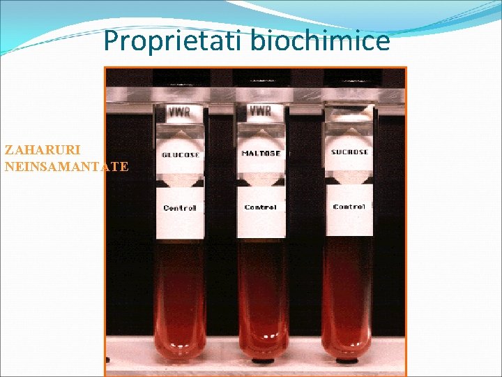 Proprietati biochimice ZAHARURI NEINSAMANTATE 