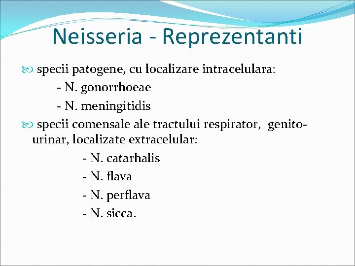 Neisseria - Reprezentanti specii patogene, cu localizare intracelulara: - N. gonorrhoeae - N. meningitidis