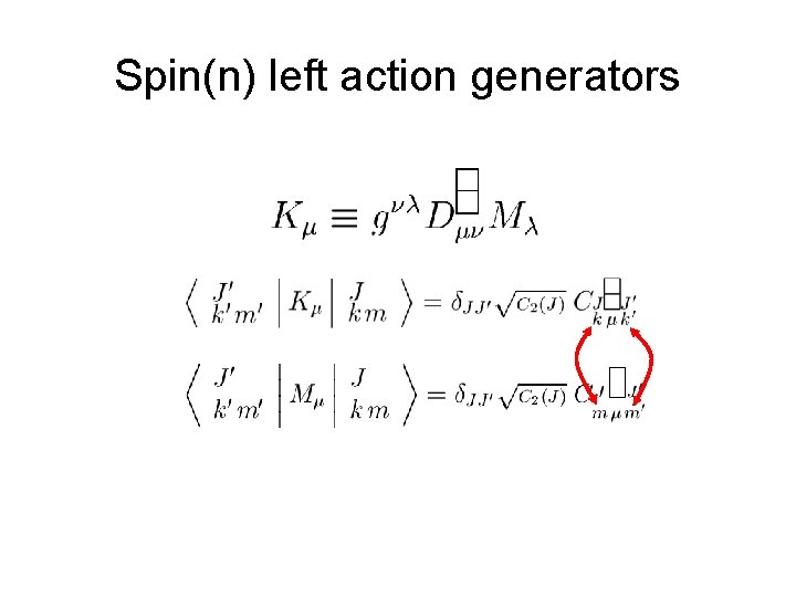 Spin(n) left action generators 