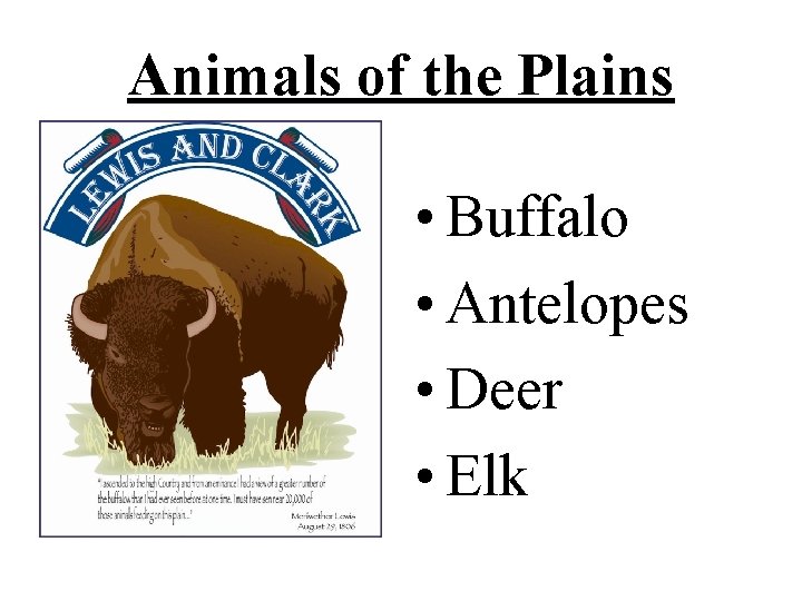 Animals of the Plains • Buffalo • Antelopes • Deer • Elk 