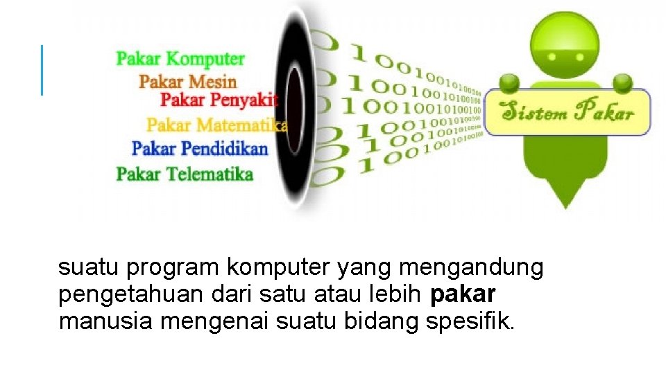 suatu program komputer yang mengandung pengetahuan dari satu atau lebih pakar manusia mengenai suatu