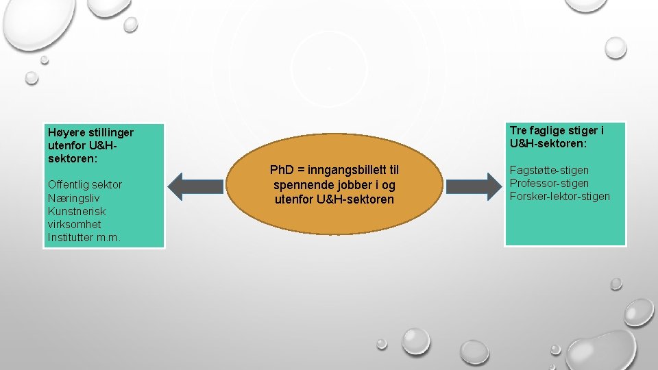 Høyere stillinger utenfor U&Hsektoren: Offentlig sektor Næringsliv Kunstnerisk virksomhet Institutter m. m. Tre faglige