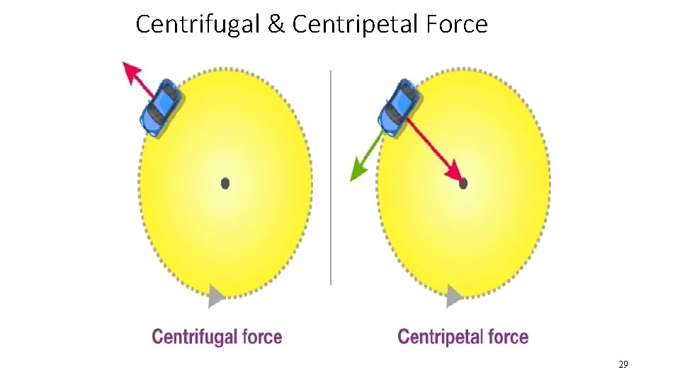 Centrifugal & Centripetal Force 29 