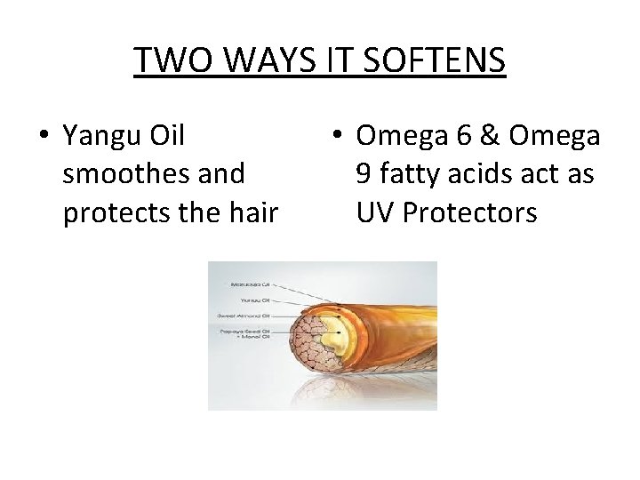TWO WAYS IT SOFTENS • Yangu Oil smoothes and protects the hair • Omega