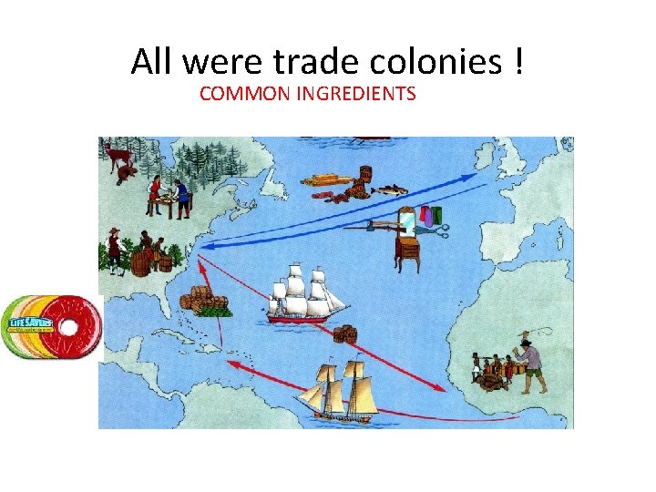 All were trade colonies ! COMMON INGREDIENTS 