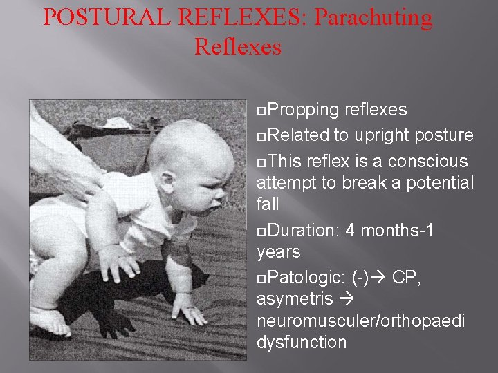 POSTURAL REFLEXES: Parachuting Reflexes Propping reflexes Related to upright posture This reflex is a