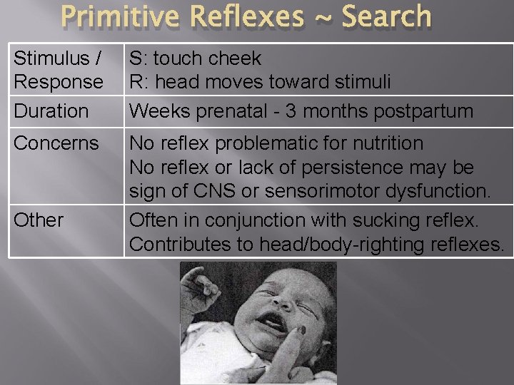 Primitive Reflexes ~ Search Stimulus / Response Duration S: touch cheek R: head moves