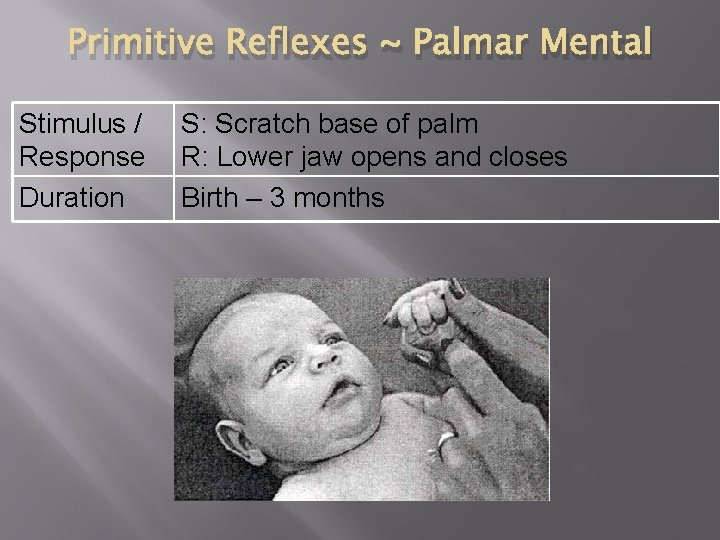 Primitive Reflexes ~ Palmar Mental Stimulus / Response Duration S: Scratch base of palm