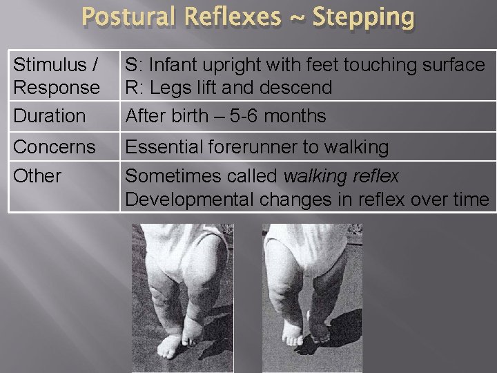 Postural Reflexes ~ Stepping Stimulus / Response Duration S: Infant upright with feet touching