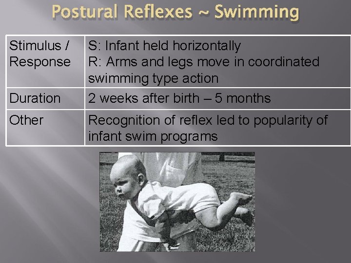 Postural Reflexes ~ Swimming Stimulus / Response Duration Other S: Infant held horizontally R: