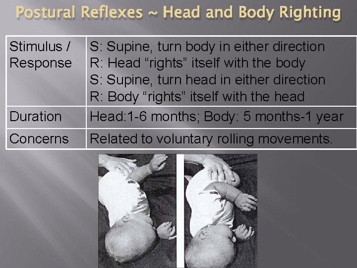 Postural Reflexes ~ Head and Body Righting Stimulus / Response Duration S: Supine, turn