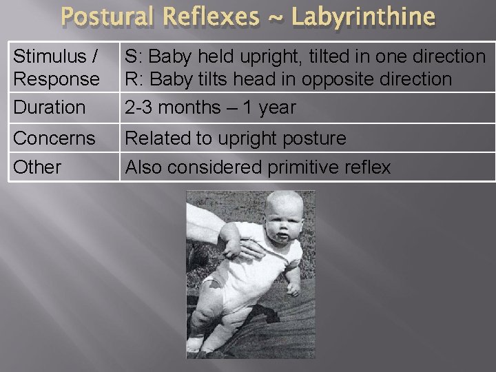 Postural Reflexes ~ Labyrinthine Stimulus / Response Duration S: Baby held upright, tilted in