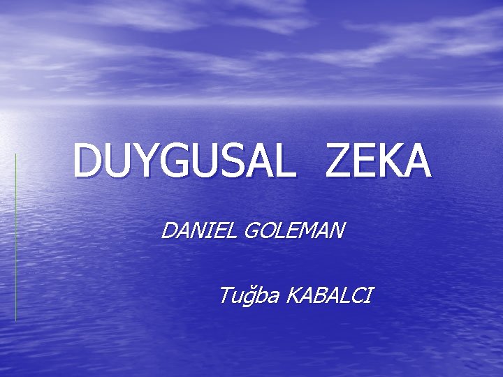 DUYGUSAL ZEKA DANIEL GOLEMAN Tuğba KABALCI 