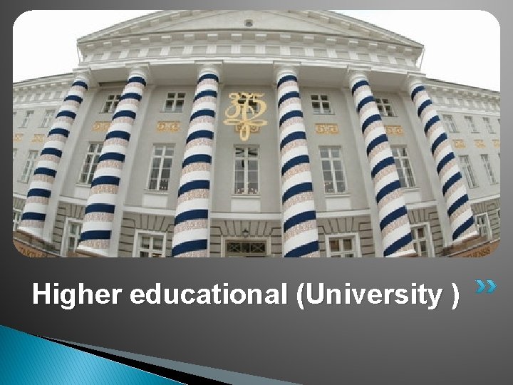 Higher educational (University ) 