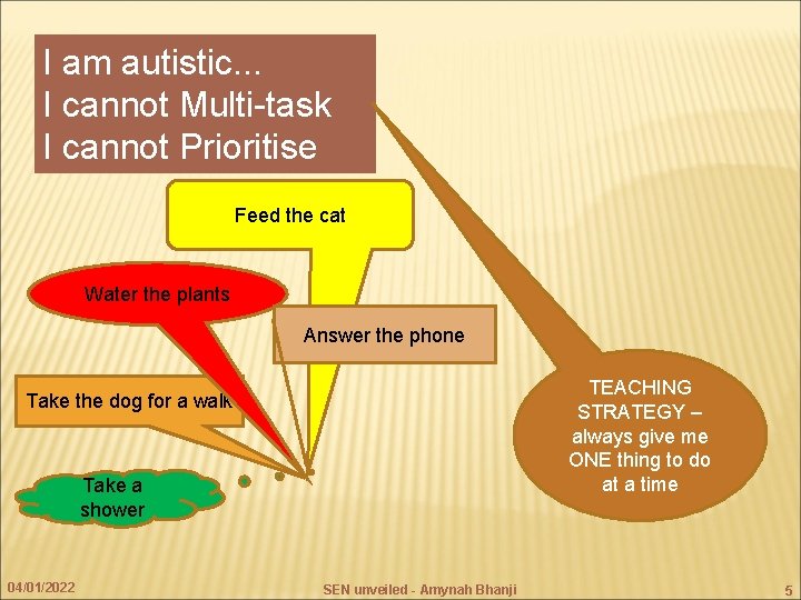I am autistic. . . I cannot Multi-task I cannot Prioritise Feed the cat